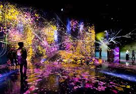 Salle immersive à teamLab Borderless Tokyo